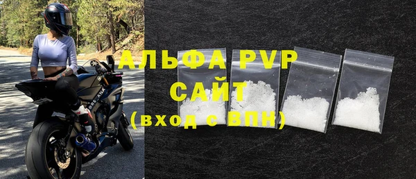 стафф Осташков