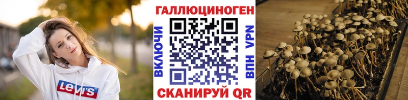 Галлюциногенные грибы GOLDEN TEACHER  блэк спрут вход  Фатеж 
